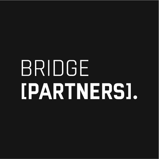 bridge-partners_logo
